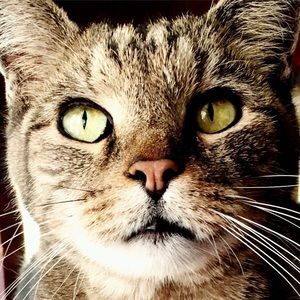 Meet your Posher, Patty